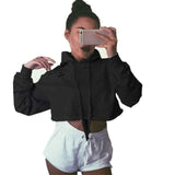 Sexy Women Blouse Hoodie Sweatshirt Short Jumper Crop top Pullover Tops Full Sleeve Cotton Black Clothing Blusas
